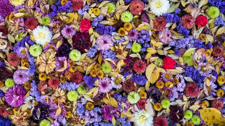 中川八幡神社(長崎県)