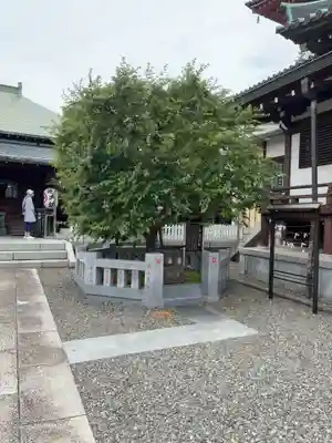 大坊本行寺(東京都)