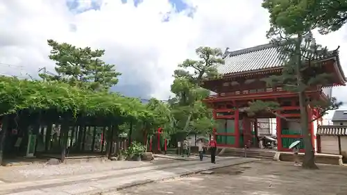 葛井寺の山門