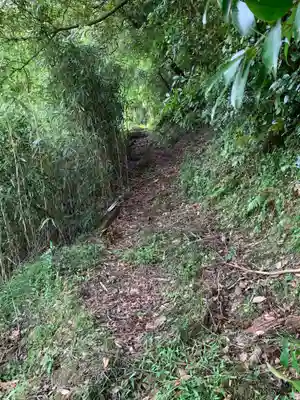 石像釈迦立像の周辺