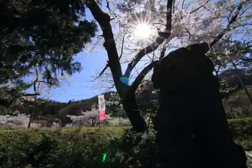 高司神社〜むすびの神の鎮まる社〜の狛犬