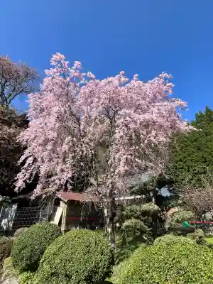 仏隆寺の{uncategorized: "未分類", other: "その他", undefined: "問題あり", building: "その他建物", grave: "お墓", sacred_gate: "鳥居", guardian: "狛犬", statue: "像", buddha: "仏像", history: "歴史", nature: "自然", garden: "庭園", animal: "動物", pagoda: "塔", temizu: "手水舎", mountain_gate: "山門・神門", sanctuary: "本殿・本堂", subordinate: "末社・摂社", art: "芸術", scenery: "景色", jizo: "地蔵", ema: "絵馬", goshuin: "御朱印", omikuji: "おみくじ", items: "授与品その他", amulet: "お守り", goshuincho: "御朱印帳", eats: "食事", festival: "お祭り", votive_dance: "神楽", shichigosan: "七五三参", wedding: "結婚式", experience: "体験その他", initially: "初詣", around: "周辺", anti_infection: "感染症対策"}