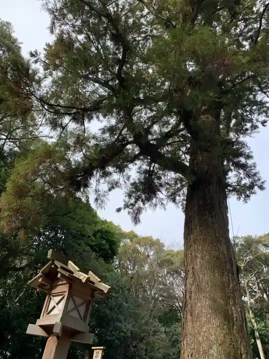 月夜見宮(豊受大神宮別宮)の{uncategorized: "未分類", other: "その他", undefined: "問題あり", building: "その他建物", grave: "お墓", sacred_gate: "鳥居", guardian: "狛犬", statue: "像", buddha: "仏像", history: "歴史", nature: "自然", garden: "庭園", animal: "動物", pagoda: "塔", temizu: "手水舎", mountain_gate: "山門・神門", sanctuary: "本殿・本堂", subordinate: "末社・摂社", art: "芸術", scenery: "景色", jizo: "地蔵", ema: "絵馬", goshuin: "御朱印", omikuji: "おみくじ", items: "授与品その他", amulet: "お守り", goshuincho: "御朱印帳", eats: "食事", festival: "お祭り", votive_dance: "神楽", shichigosan: "七五三参", wedding: "結婚式", experience: "体験その他", initially: "初詣", around: "周辺", anti_infection: "感染症対策"}