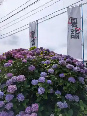 鼬幣稲荷神社(岩手県)