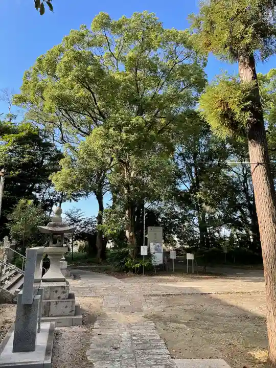 天疫神社(福岡県)