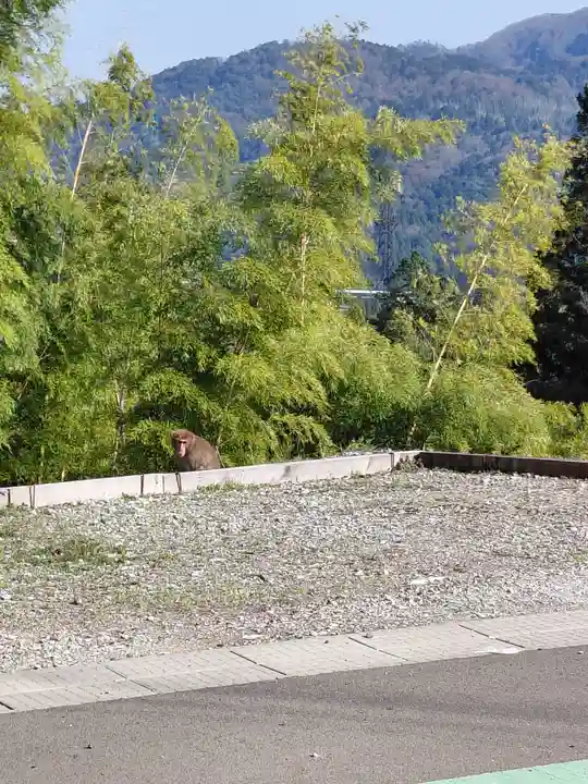 中山寺(福井県)