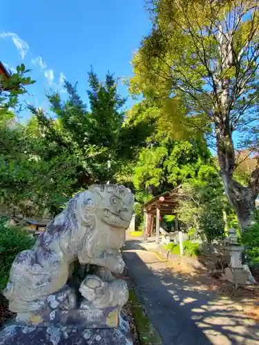 王宮伊豆神社の狛犬