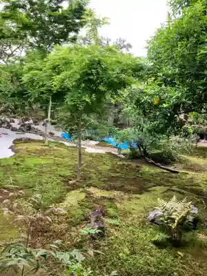 興聖寺(京都府)