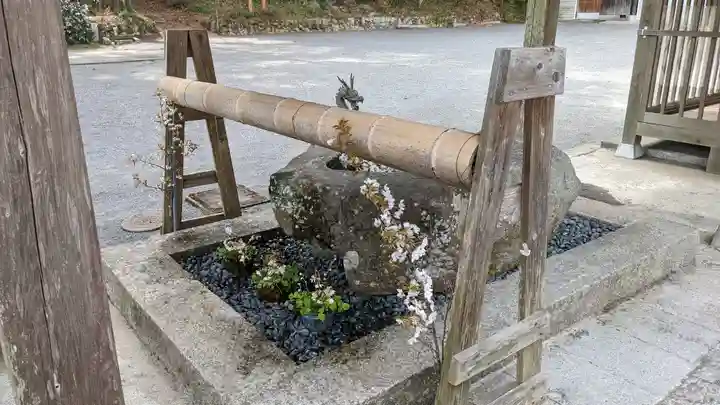 飛龍八幡宮(山口県)