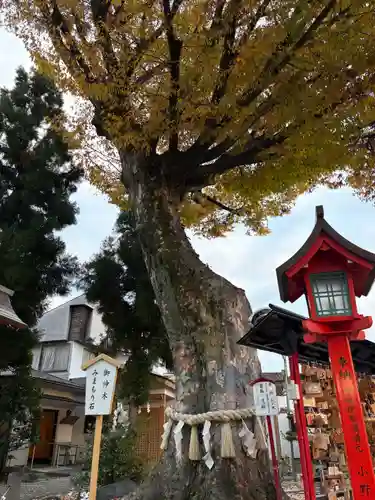 正ノ木稲荷 稲積神社(山梨県)