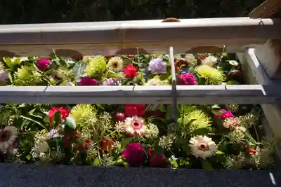 豊景神社の手水舎