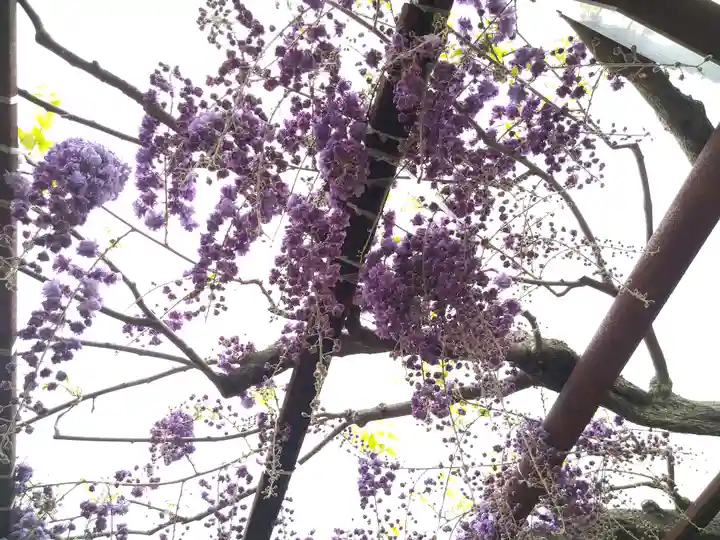 和氣神社(和気神社)の自然