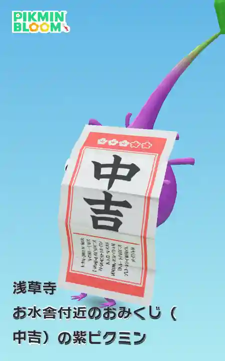 浅草寺のおみくじ