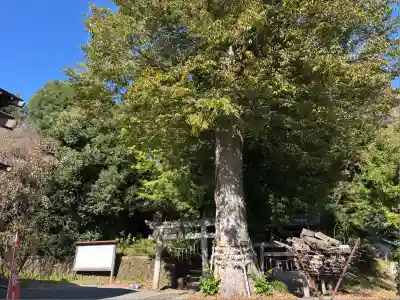 八雲神社(緑町)(栃木県)