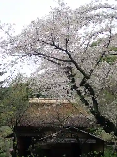 根岸八幡神社(神奈川県)