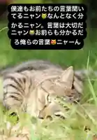 専念寺(大阪府)