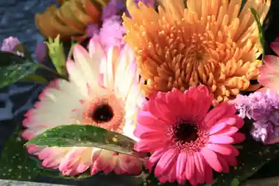 豊景神社の手水舎