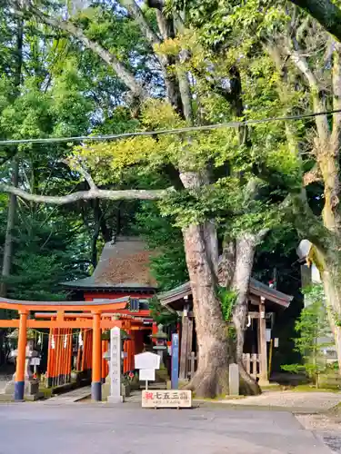 宇都宮二荒山神社(栃木県)
