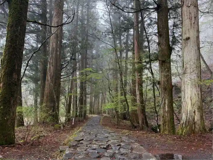 瀧尾高徳水神社 (栃木県)