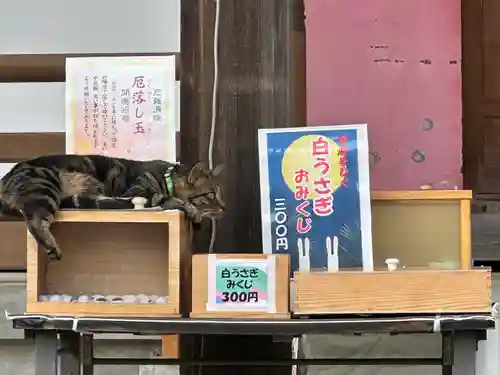 白山神社(東京都)