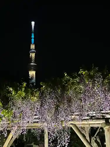 亀戸天神社(東京都)