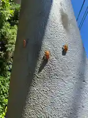 白水常盤神社の自然