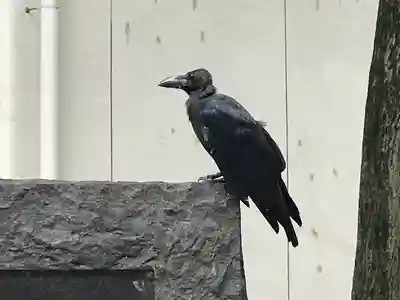 大國魂神社(東京都)