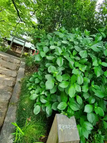 愛宕神社(福島県)