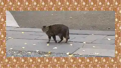 小野照崎神社(東京都)