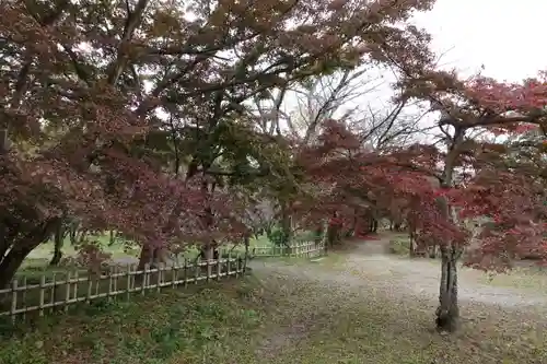 大覚寺の庭園