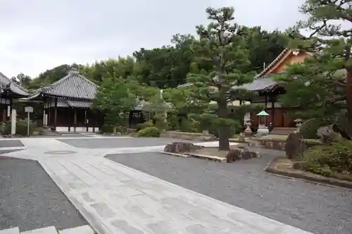 大善寺(京都府)