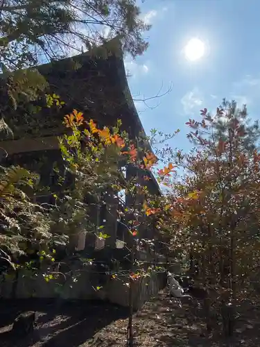 玉井宮東照宮の建物その他