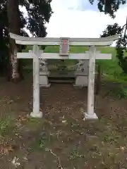 諏訪神社 の鳥居