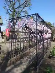 相模原氷川神社(神奈川県)