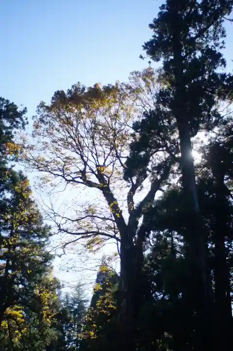白山比咩神社(石川県)