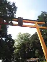 川越氷川神社の鳥居