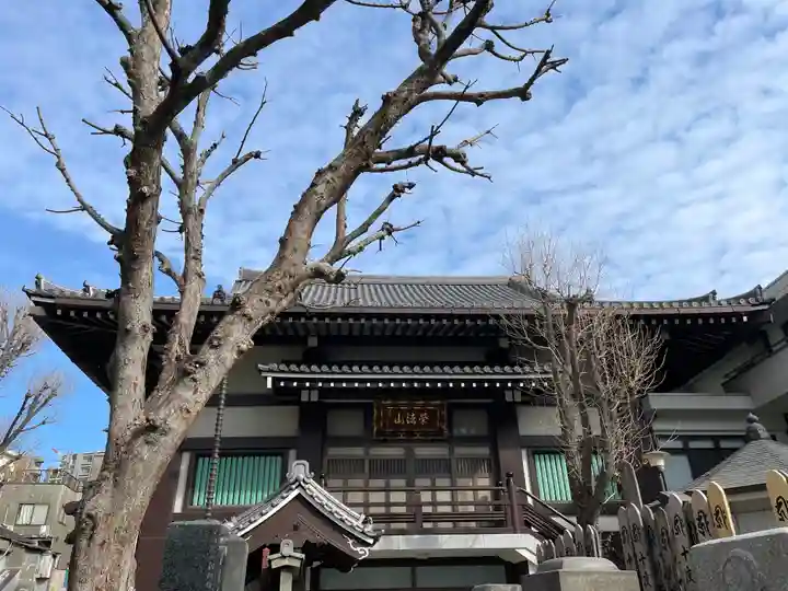 浄閑寺(東京都)