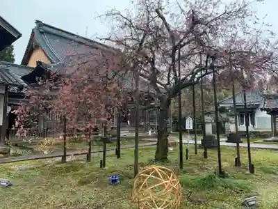 城福寺(福井県)