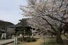 光明寺（粟生光明寺）(京都府)