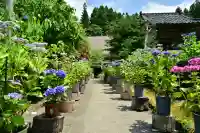 光照寺(新潟県)