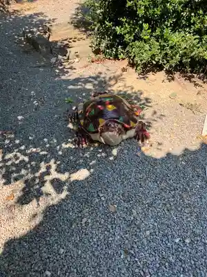 志磨神社(和歌山県)