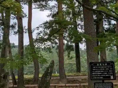 毛越寺(岩手県)