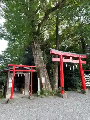 白笹稲荷神社(神奈川県)