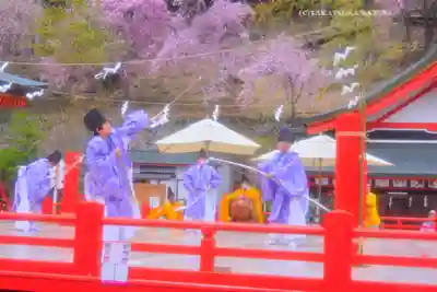 金櫻神社(山梨県)