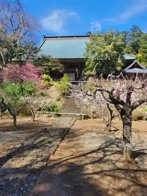 大中寺(栃木県)