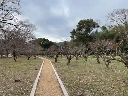 大覚寺(京都府)