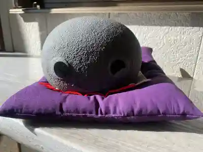 田間神社の{uncategorized: "未分類", other: "その他", undefined: "問題あり", building: "その他建物", grave: "お墓", sacred_gate: "鳥居", guardian: "狛犬", statue: "像", buddha: "仏像", history: "歴史", nature: "自然", garden: "庭園", animal: "動物", pagoda: "塔", temizu: "手水舎", mountain_gate: "山門・神門", sanctuary: "本殿・本堂", subordinate: "末社・摂社", art: "芸術", scenery: "景色", jizo: "地蔵", ema: "絵馬", goshuin: "御朱印", omikuji: "おみくじ", items: "授与品その他", amulet: "お守り", goshuincho: "御朱印帳", eats: "食事", festival: "お祭り", votive_dance: "神楽", shichigosan: "七五三参", wedding: "結婚式", experience: "体験その他", initially: "初詣", around: "周辺", anti_infection: "感染症対策"}