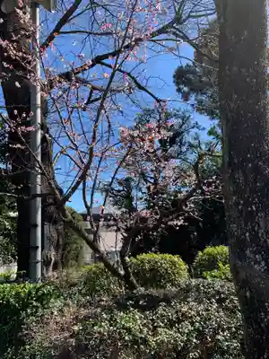 長宮氷川神社(埼玉県)