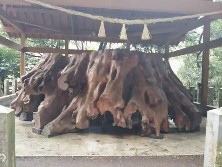 国造神社の自然