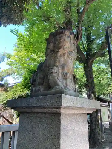 亀戸 香取神社の狛犬